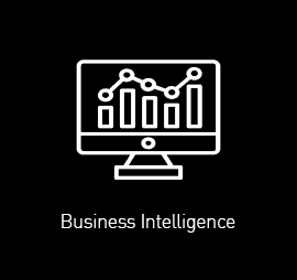 NobelBiz Business Intelligence