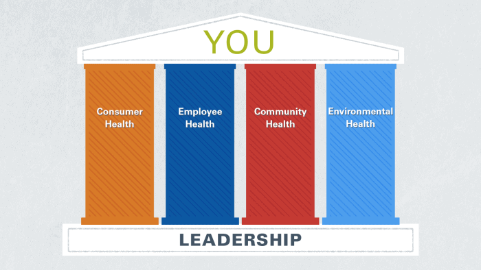 pillars of health in leadership multichannel omnichannel illustration